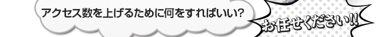 ANZXグ邽߂ɉ΂H